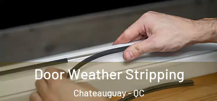  Door Weather Stripping Chateauguay - QC