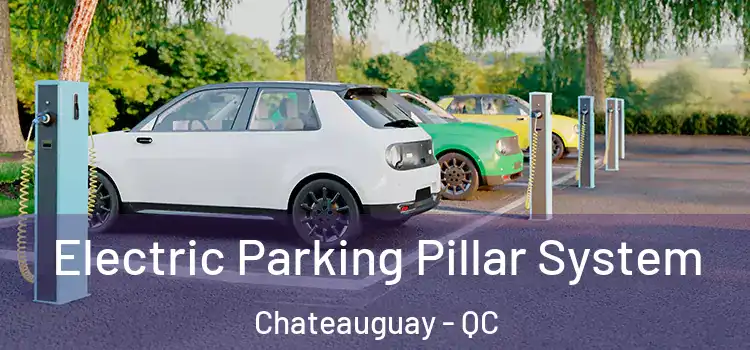  Electric Parking Pillar System Chateauguay - QC