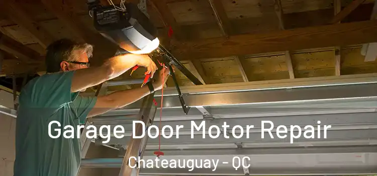  Garage Door Motor Repair Chateauguay - QC