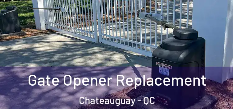  Gate Opener Replacement Chateauguay - QC