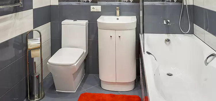 Hansgrohe Shaving Mirror Chateauguay