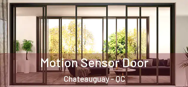  Motion Sensor Door Chateauguay - QC